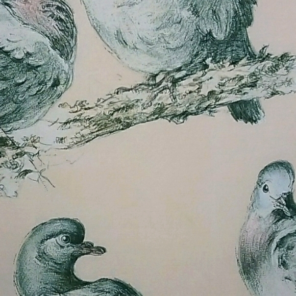 Hermes Les Tourterelles Scarf 1956 Xavier de Poret - Picture 8 of 13